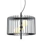 Daren, nowoczesna lampa wisząca, czarna, G9, MDM-3937/3 BK